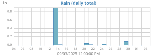 Rain