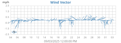 Wind Vector