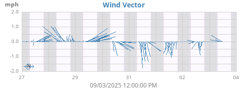 Wind Vector