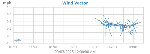 Wind Vector